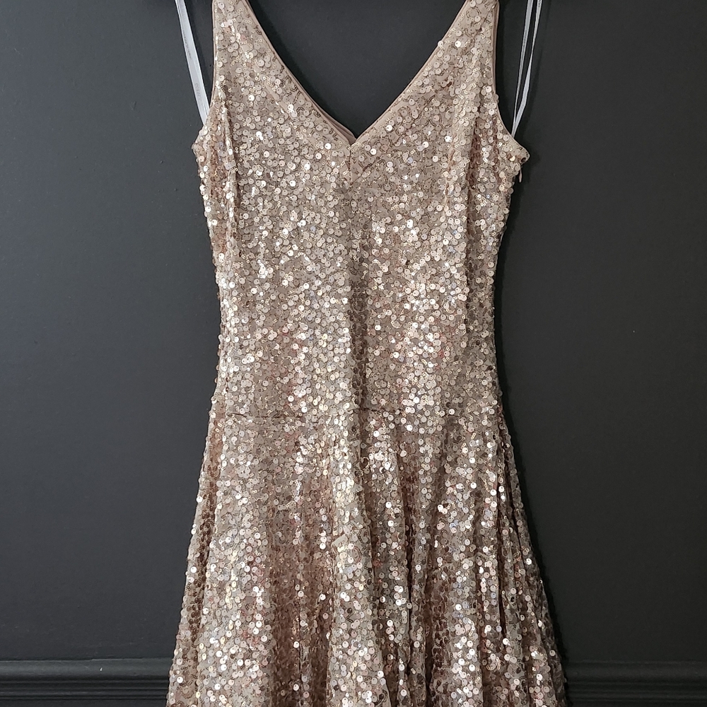 Sequin Fit & Flare Dress